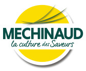 Méchinaud